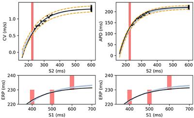 Corrigendum: Bayesian Calibration of Electrophysiology Models Using Restitution Curve Emulators